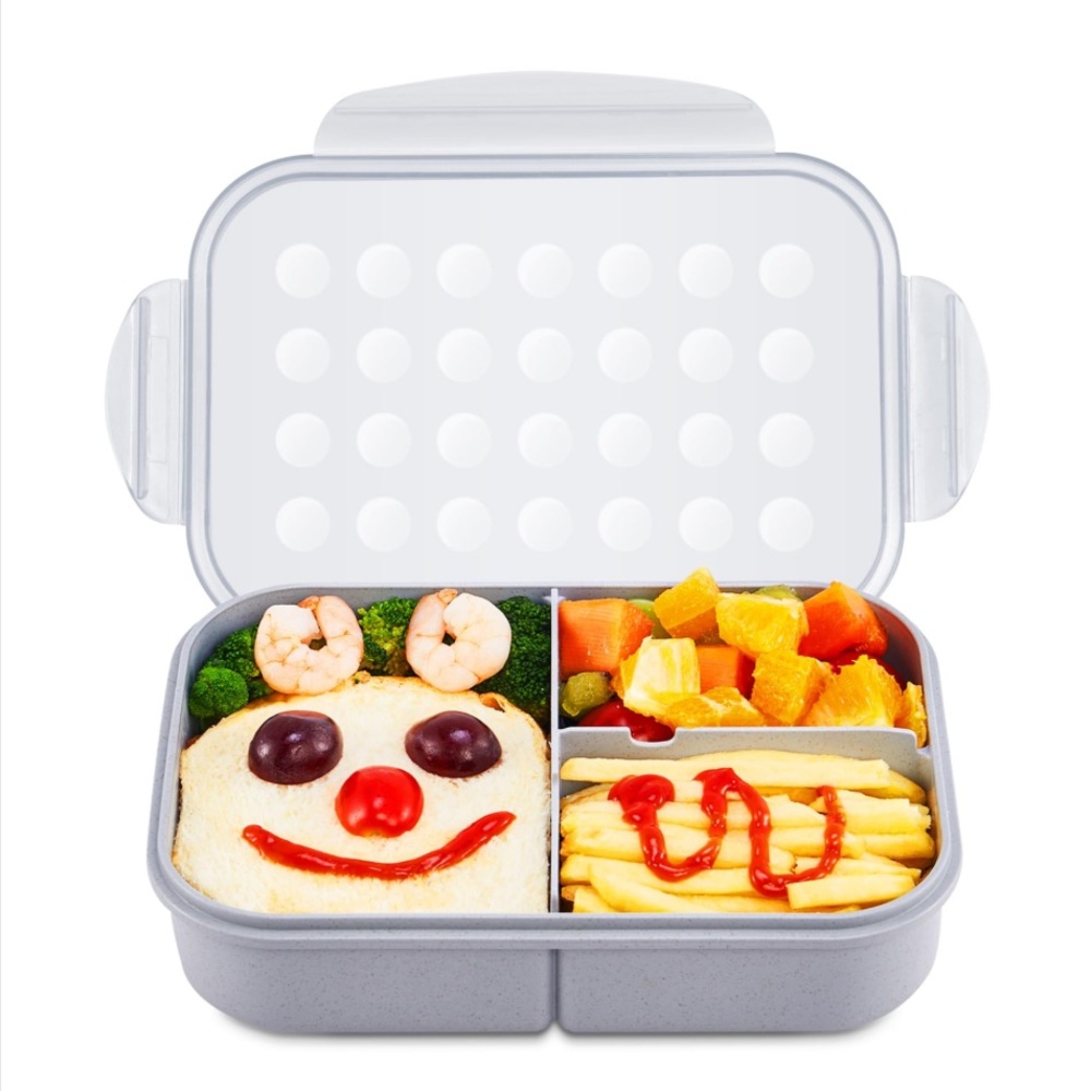 BPA-Free Lunch Box with Compartments